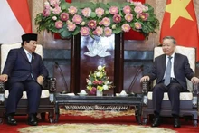 Le secrétaire général du Parti communiste et président du Vietnam, To Lam (droite) et le président élu de l'Indonésie, Prabowo Subianto, en visite de travail au Vietnam. Photo : VNA.