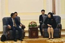 Le vice-ministre permanent des AE Nguyên Minh Vu (gauche) rencontre la ministre des Affaires étrangères de la RPDC Choe Son Hui. Photo : VNA.