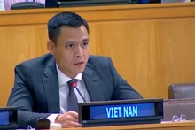 L'ambassadeur Dang Hoang Giang, représentant permanent du Vietnam auprès de l'ONU. Photo : VNA.