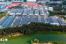 À ce jour, les zones industrielles (ZE) de la province de Binh Duong abritent 3 128 projets actifs, dont 2 448 projets à capitaux étrangers cumulant un capital social total de plus de 29,6 milliards de dollarsPhoto : VNA.