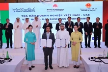 Vietnam Airlines signe des protocoles d'accord bilatéraux avec deux des plus grandes compagnies aériennes du monde, Etihad Airways et Emirates. Photo . VNA
