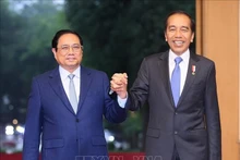 Le Premier ministre vietnamien, Pham Minh Chinh (à gauche) et le Président indonésien, Joko Widodo. Photo : VNA.