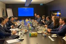 La délégation du CMSC travaille avec les dirigeants du Groupe MSC. Photo: baodautu