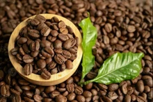 Le Vietnam est devenu le deuxième plus grand fournisseur de café du Royaume-Uni. Photo: congthuong
