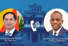 Le ministre des Affaires étrangères, Bui Thanh Son (gauche) et le ministre des Affaires étrangères et de la Coopération du Bénin, Olushegun Adjadi Bakari. Photo: VNA