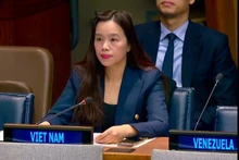 La ministre conseillère Lê Thi Minh Thoa, représentante permanente adjointe du Vietnam auprès de l’ONU. Photo : VNA.