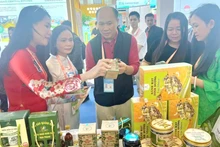 Lors de ces événements, le secteur du tourisme de Quang Nam a organisé des campagnes de promotion, présenté l'image culturelle et touristique, ainsi que les produits locaux OCOP. Photo: NDEL