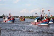 Nghe An traite sévèrement les bateaux de pêche sans licence. Photo : VNA.