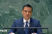 L'ambassadeur Dang Hoang Giang, chef de la Mission permanente du Vietnam auprès de l'ONU. Photo : VNA.