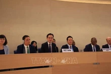 Le vice-ministre des Affaires étrangères Do Hung Viet prend la parole lors de la séance d'approbation du rapport national du Vietnam. Photo : VNA.