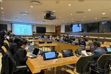 Vue de la réunion mensuelle du groupe Asie-Pacifique au sein de l’ONU, à New York. Photo : VNA. 