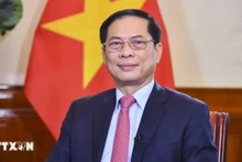 Le vice-Premier ministre et ministre des Affaires étrangères, Bui Thanh Son. Photo : VNA.