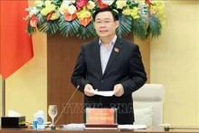 Le Président de l’Assemblée nationale Vuong Dinh préside la séance de travail du Comité chargé des affaires du Parti au sein de l’Assemblée nationale avec la permanence du Comité du Parti de la province de Nghê An. Photo : VNA.