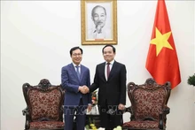 Le Vice-Premier ministre Trân Luu Quang (à droite) serre la main du directeur général de Samsung Vietnam Choi Joo Ho. Photo : VNA.