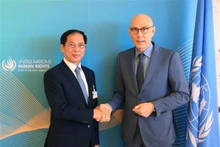 Le ministre vietnamien des Affaires étrangères, Bui Thanh Son (gauche), et le Haut-Commissaire des Nations Unies aux droits de l'homme, Volker Turk. Photo: VNA