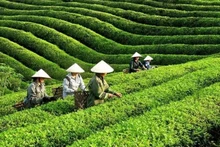 Photo d'illustration: congthuong