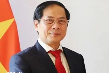 Le vice-Premier ministre et ministre des Affaires étrangères Bui Thanh Son. Photo : VNA.