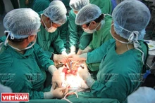 Une équipe médicale de l'Hôpital militaire 103 procède à une transplantation d'organe pour un patient. Photo : Vietnam Illustré.