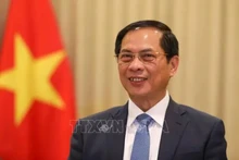 Le vice-Premier ministre et ministre des Affaires étrangères Bui Thanh Son. Photo : VNA.