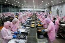 Le Vietnam atteint 10 milliards de dollars d’exportations des produits aquatiques en 2024. Photo : VNA.