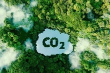 En 2023, le Vietnam a vendu avec succès 10,3 millions de crédits de carbone forestier. Photo d'illustration: VnEconomy