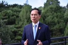 Le ministre des Affaires étrangères Bui Thanh Son. Photo : VNA.