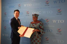 L'ambassadeur Mai Phan Dung, chef de la mission permanente du Vietnam auprès de l'ONU, de l'OMC et d'autres organisations internationales à Genève (gauche), présente la lettre de créance du Président vietnamien Vo Van Thuong à la Directrice générale de l'OMC. Ngozi Okonjo-Iweala. Photo : VNA.