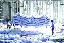 Les prix du riz vietnamien ont grimpé pour redevenir les plus élevés du monde. Photo : VNA. 