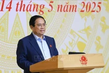 Le Premier ministre Pham Minh Chinh prend la parole lors de la réunion. Photo : VNA.