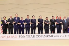 Les délégués posent pour une photo de groupe lors du Sommet commémoratif du 50e anniversaire de l’amitié et de la coopération ASEAN - Japon. Photo : VNA.