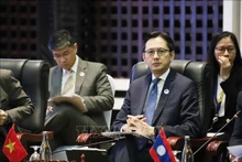 Le vice-ministre des Affaires étrangères et chef de SOM de l'ASEAN du Vietnam, Do Hung Viet. Photo : VNA.