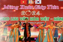 Un numéro artistique lors de l'Échange culturel Vietnam – République de Corée, le 7 janvier à Hanoi. Photo : thoidai.vn
