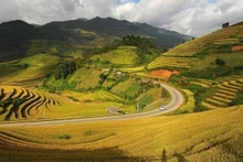 La beauté de la saison du riz mûr à Mu Cang Chai. Photo : Booking.com 