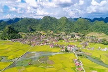Le géoparc de Lang Son est une preuve vivante de plus de 500 millions d’années d’évolution de la vie à travers ses paysages diversifiés. Photo: NDEL.
