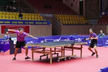 En clôturant l’année 2024, le tennis de table vietnamien nourrit l’espoir de connaître des réformes en 2025. Photo : VNA.