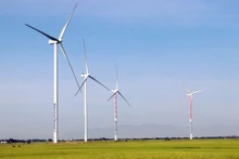 Un projet d'énergie éolienne construit dans la province de Ninh Thuân (Centre). 