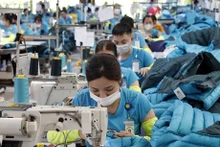 Le secteur s'efforce de développer des solutions durables pour répondre aux exigences du marché mondial. Photo : VNA.