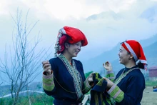 Beauté radieuse des filles de l'ethnie Dao dans la brume du Nord-Ouest. Photo : Pham Ngoc Bang.