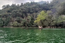 Le parc national de Ba Bê, dans la province montagneuse de Bac Kan, abrite une biodiversité extrêmement riche et plus de 10.000 ha d'étendues d'eau. Photo: VNA