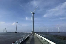 La centrale éolienne de Bac Liêu. Photo : VNA.