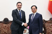 Le vice-Premier ministre Bùi Thanh Son (à droite) et le ministre délégué chargé du Commerce extérieur et des Français de l’étranger Laurent Saint-Martin. Photo : baochinhphu.