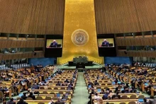 Panorama d'une session visant à adopter la résolution de l'Assemblée générale des Nations Unies. Photo : VNA. 