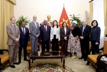Rencontre entre la vice-ministre vietnamienne des Affaires étrangères, Nguyên Minh Hang (au centre) et le groupe des ambassadeurs africains, le 7 décembre à Hanoi. Photo : baoquocte.vn