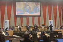 L'ambassadeur Dang Hoang Giang prend la parole lors du dialogue. Photo : VNA.