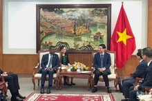 Séance de travail entre le vice-ministre vietnamien de la Culture, des Sports et du Tourisme, Ho An Phong (au milieu, à droite), et le ministre des Affaires étrangères, des Affaires internationales, du Commerce et de l'Énergie du Commonwealth de la Dominique, Vince Henderson, le 28 mai à Hanoi. Photo : NDEL