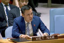 L'ambassadeur Dang Hoang Giang, chef de la mission vietnamienne auprès des Nations Unies. Photo : VNA