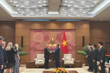 Lors de la séance de travail entre le président de la Commission de la défense, de la sécurité et des affaires étrangères de l’Assemblée nationale (AN) vietnamienne, Le Tan Toi, et le président de la Commission des affaires étrangères du Parlement danois, Michael Aastrup Jensen, le 3 mars à Hanoi. Photo: Ambassade du Danemark au Vietnam