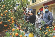 Le marché aux fleurs de Hàng Luoc dans l’arrondissement de Hoàn Kiêm, Hanoï. Photo : VNA.