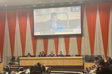 Lors de la réunion du Conseil économique et social des Nations Unies sur les questions humanitaires. Photo : VOV.
