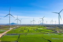 Le Vietnam a rapidement identifié la croissance verte comme l’une des stratégies clés pour parvenir à un développement rapide et durable. Photo : thanhnien.vn.